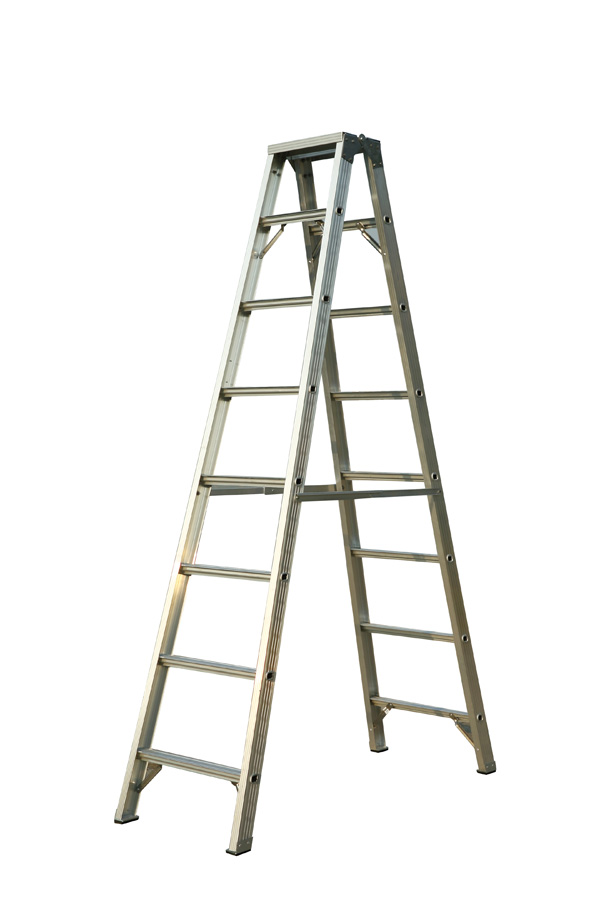 81